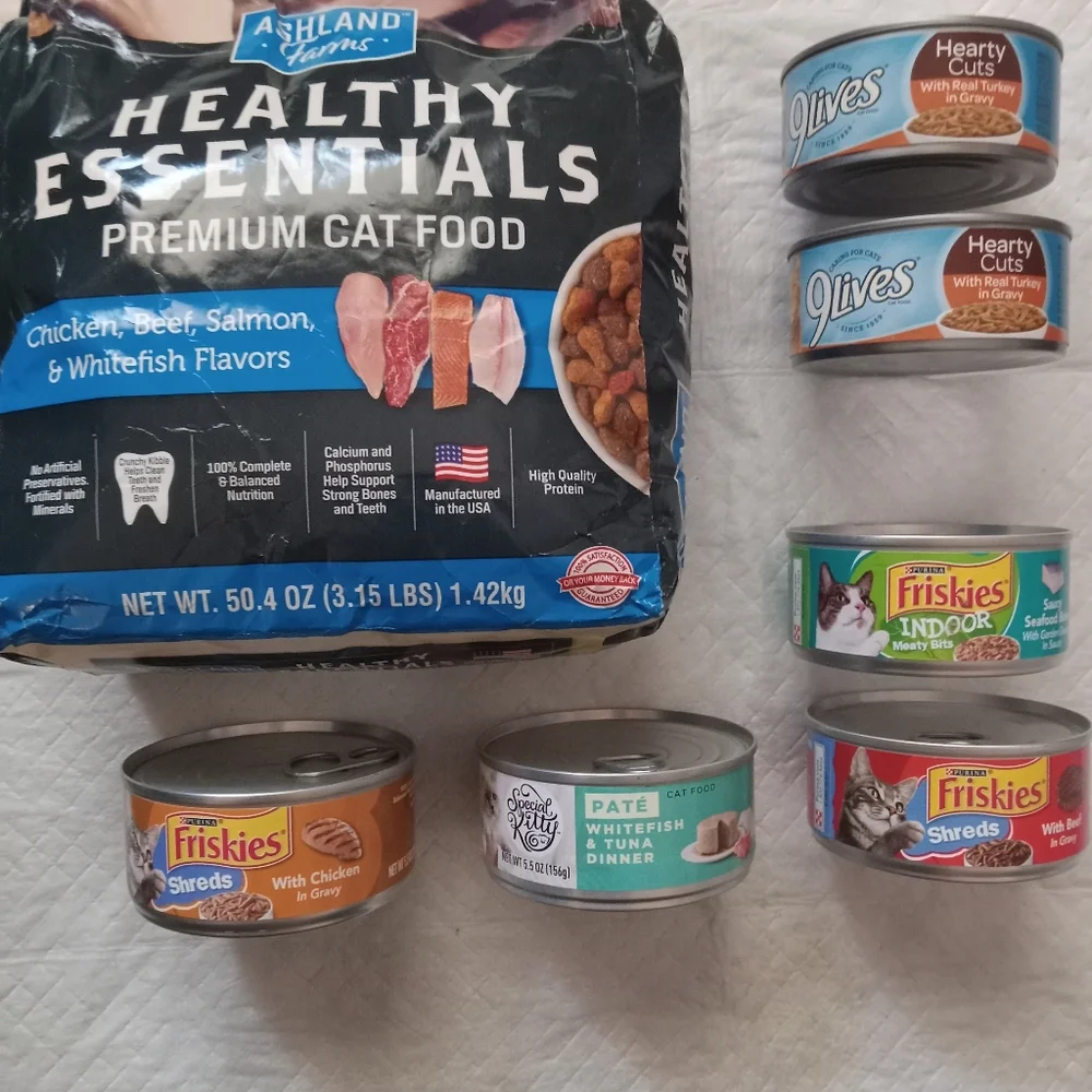 Cat/kitten food